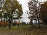 Burns Cemetery