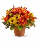 Lasting Expressions Floral Designs With Flair