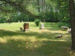 Pine Grove Cemetery