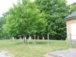 Altona Mennonite Cemetery