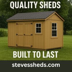 steve